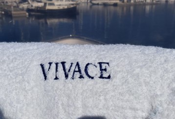 vivace-whatsApp Image 2022-02-07 at 15.30.12